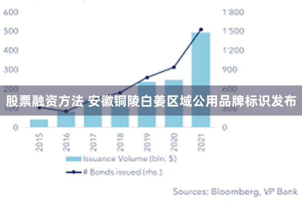 股票融资方法 安徽铜陵白姜区域公用品牌标识发布