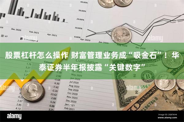 股票杠杆怎么操作 财富管理业务成“吸金石”！华泰证券半年报披露“关键数字”