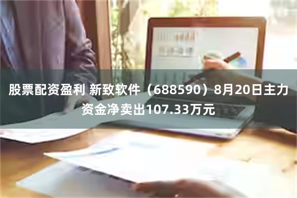 股票配资盈利 新致软件（688590）8月20日主力资金净卖出107.33万元