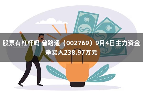 股票有杠杆吗 普路通（002769）9月4日主力资金净买入238.97万元