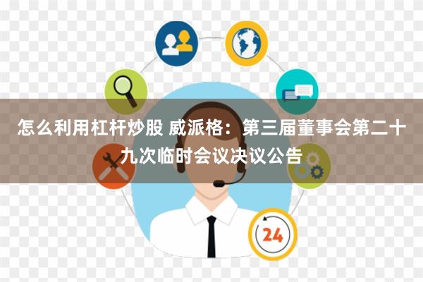 怎么利用杠杆炒股 威派格：第三届董事会第二十九次临时会议决议公告