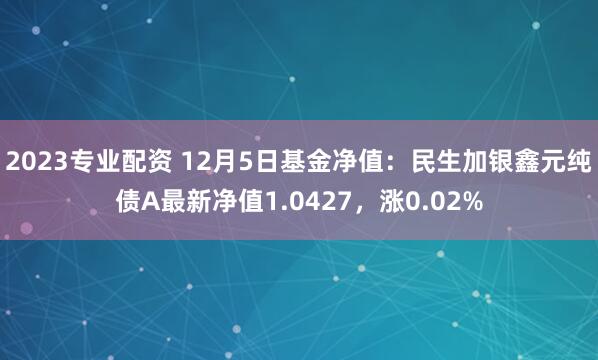 2023专业配资 12月5日基金净值：民生加银鑫元纯债A最新净值1.0427，涨0.02%