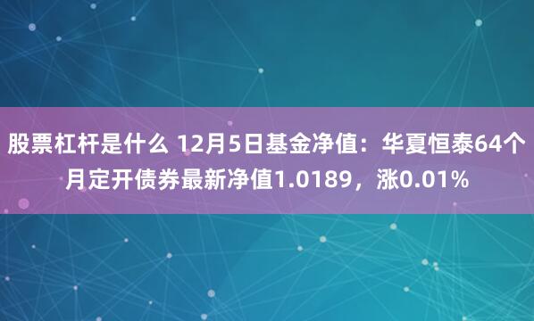 股票杠杆是什么 12月5日基金净值：华夏恒泰64个月定开债券最新净值1.0189，涨0.01%