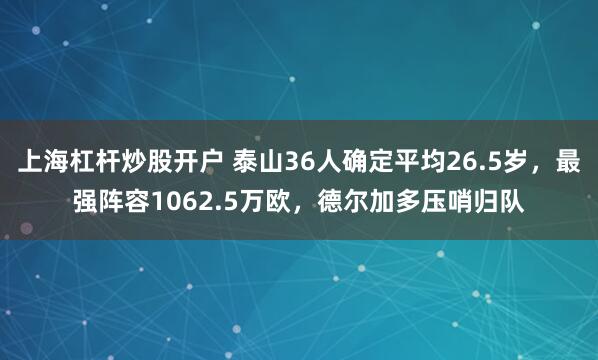 上海杠杆炒股开户 泰山36人确定平均26.5岁，最强阵容1062.5万欧，德尔加多压哨归队