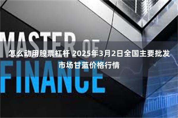 怎么动用股票杠杆 2025年3月2日全国主要批发市场甘蓝价格行情