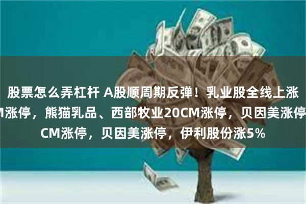 股票怎么弄杠杆 A股顺周期反弹！乳业股全线上涨，骑士乳业30CM涨停，熊猫乳品、西部牧业20CM涨停，贝因美涨停，伊利股份涨5%